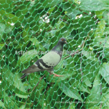 high quality trap netting to catch birds at competitive price